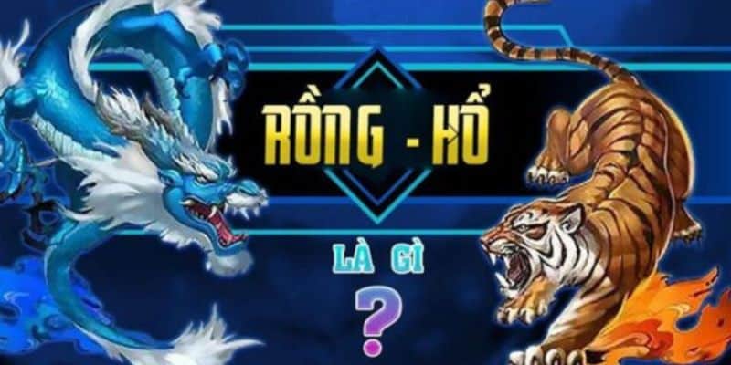 Jun88 - Thiên đường Rồng Hổ Online cho người chơi