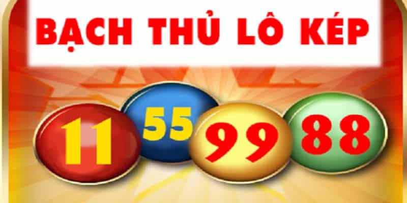 Cách bắt bạch thủ lô chính xác từ các chuyên gia 