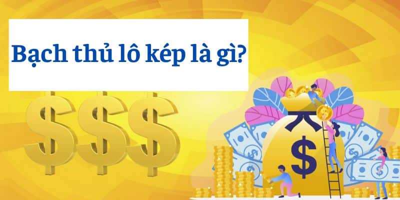 Những bí mật về bạch thủ lô mà bạn nên biết